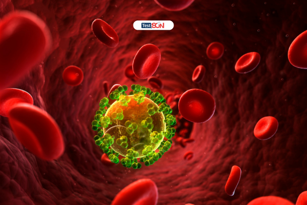 Tìm hiểu thời kỳ cửa sổ HIV