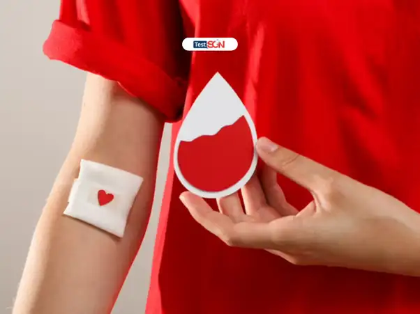 Câu trả lời hiến máu có được xét nghiệm HIV không?