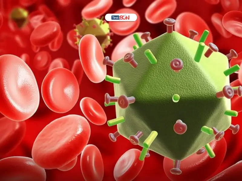 Giai đoạn cửa sổ HIV kéo dài bao lâu