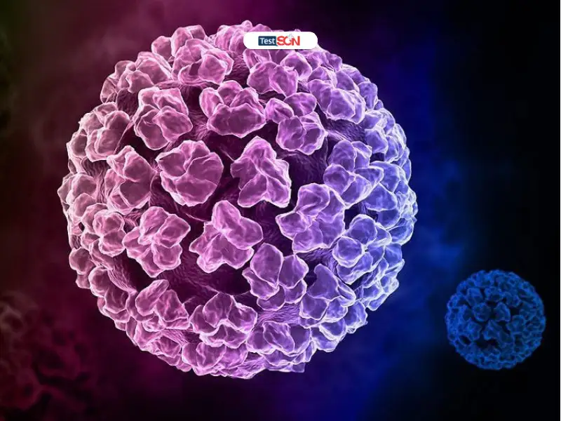 Người Bị Nhiễm HPV Có Tiêm Phòng Được Không? Mối Liên Quan Với HIV