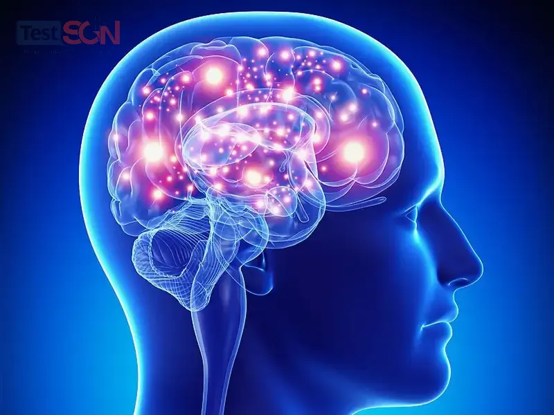 Giang mai thần kinh có nguy hiểm không? Cách phòng bệnh đúng