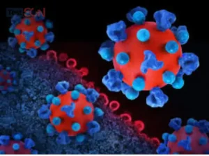 Virus HIV: Nguồn gốc, cấu tạo và cách gây bệnh của HIV