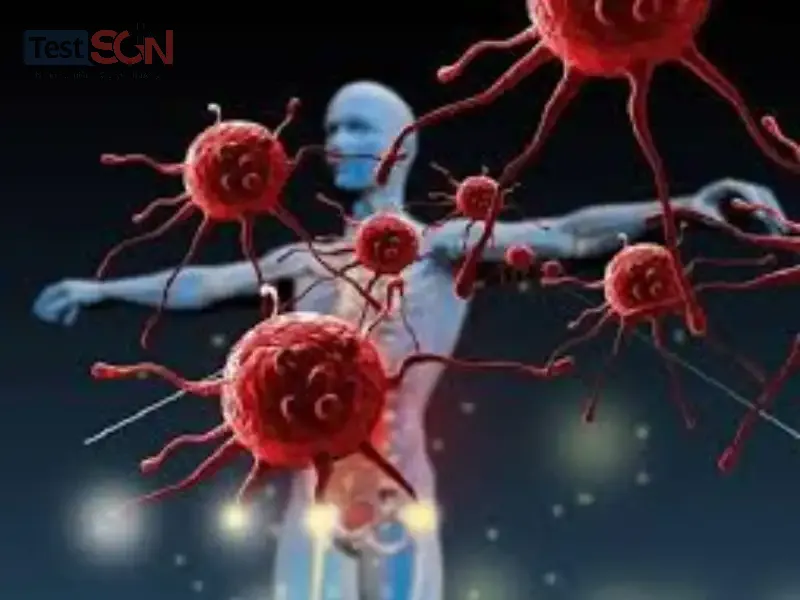 Virus HIV: Nguồn gốc, cấu tạo và cách gây bệnh của HIV
