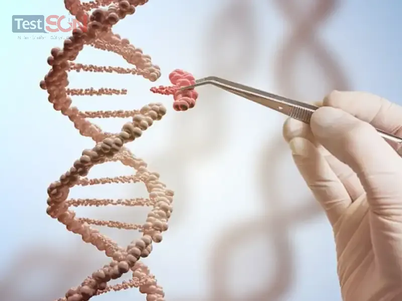 Virus HIV: Nguồn gốc, cấu tạo và cách gây bệnh của HIV