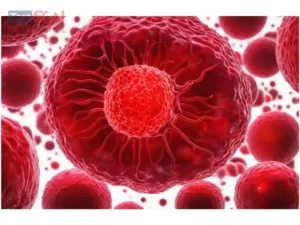 Bệnh HIV có mấy giai đoạn?