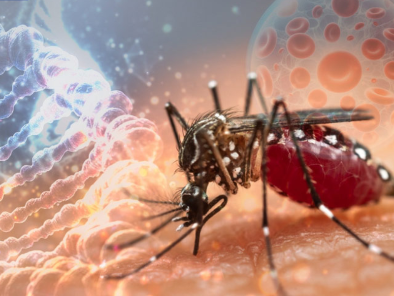 Những yếu tố lây nhiễm HIV thực sự 