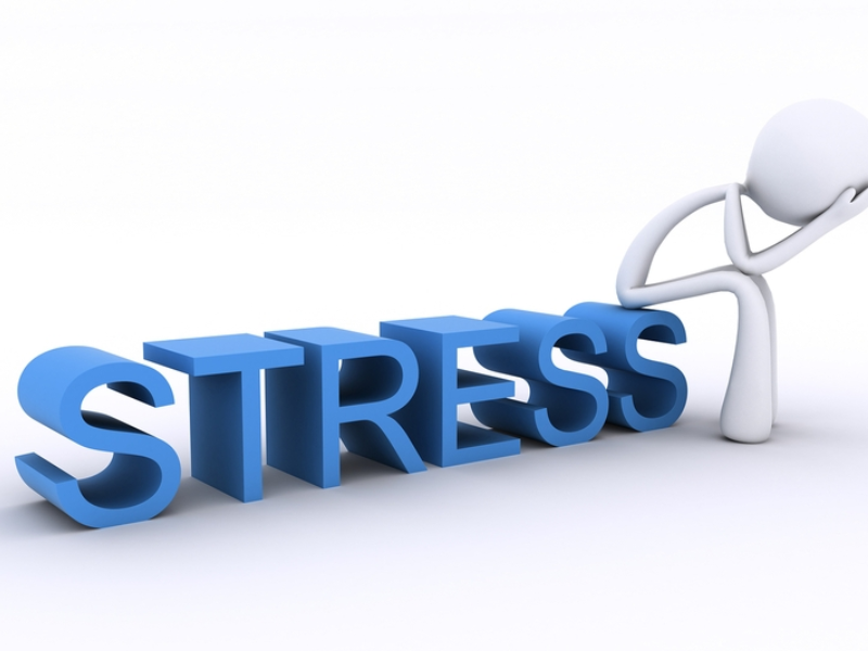 Các loại stress phổ biến hiện nay 
