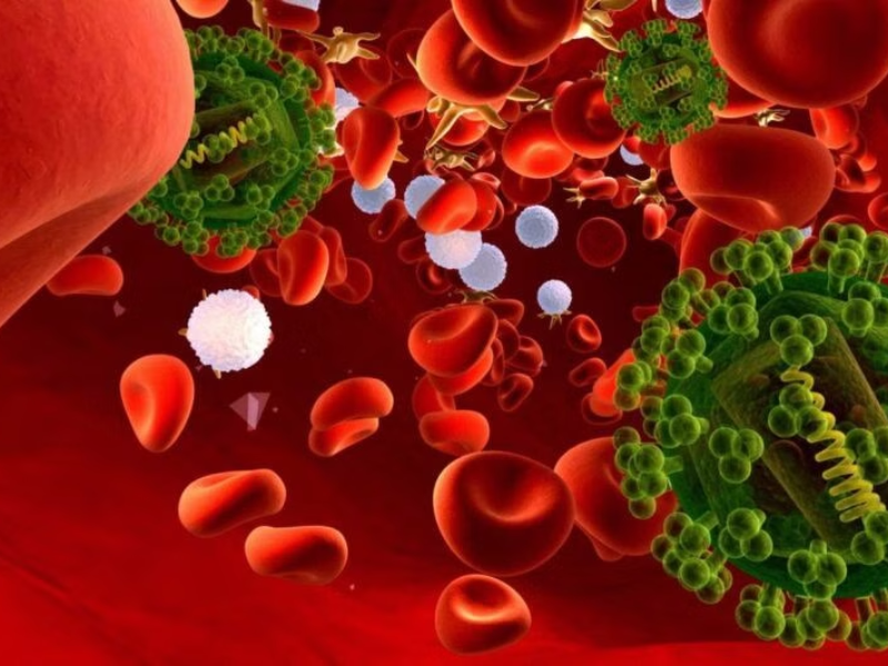 Các triệu chứng HIV trong giai đoạn cửa sổ HIV 