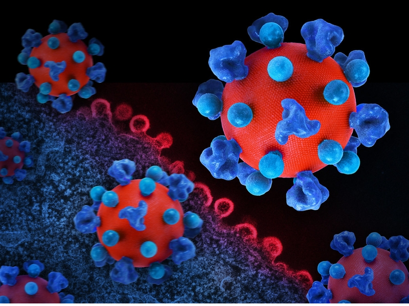 Bị người HIV cắn có lây không