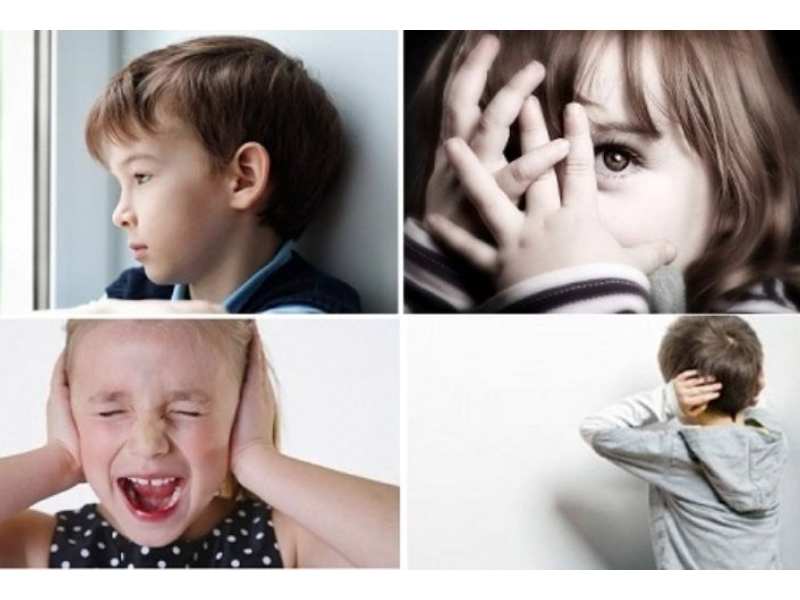 Nguyên nhân gây rối loạn phổ tự kỷ